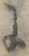 𛂌 위치 확인됨
