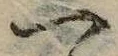 Located 一