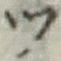글자 ツ