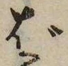 已定位ば