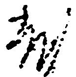 位置 確認된 乱