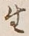 글자 生