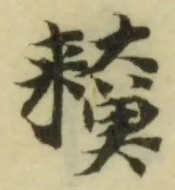 𩻜の位置