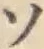 Chữ ソ