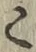 文字 こ