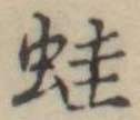 蛙の位置