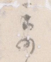 奇 위치 확인됨