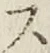 文字 ス