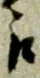 江 위치 확인됨
