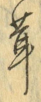 已定位茸