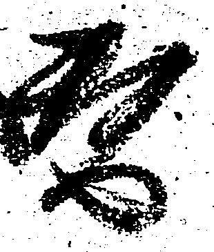替 위치 확인됨