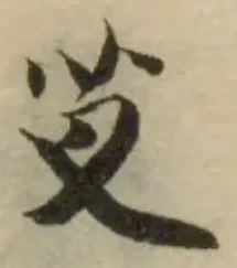 芆の位置
