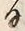文字礼