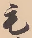毛 위치 확인됨
