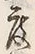 文字度