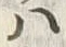 글자 𛂞