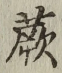 文字蕨