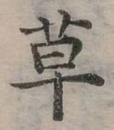 草 위치 확인됨