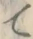 글자 て
