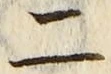“二”字