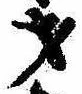 Đã định vị 才
