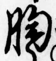 胸 위치 확인됨