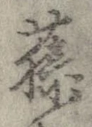 藤 위치 확인됨