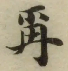Đã định vị 爯