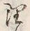 글자 理