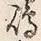 글자 淡