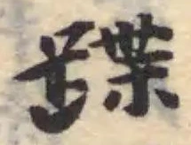 蹀の位置