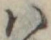 𛂞 위치 확인됨