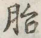 胎の位置