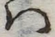 Đã định vị 𛂞