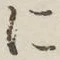 글자 に