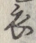 已定位衣