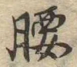 腰 위치 확인됨