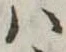 𛂞の位置