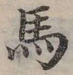 馬 위치 확인됨