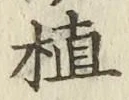 글자 植
