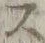 𡨸ス