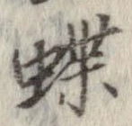 蝶 위치 확인됨