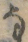 已定位𛂂