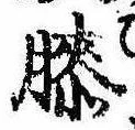 Đã định vị 膝