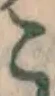 글자 こ
