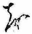 𛄚の位置