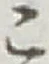 글자 こ