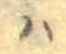 𛂞 위치 확인됨