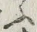 Character ふ