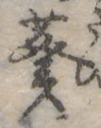Đã định vị 葵